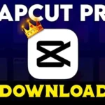 How to Download CapCut Pro on PC Step-by-Step Guide