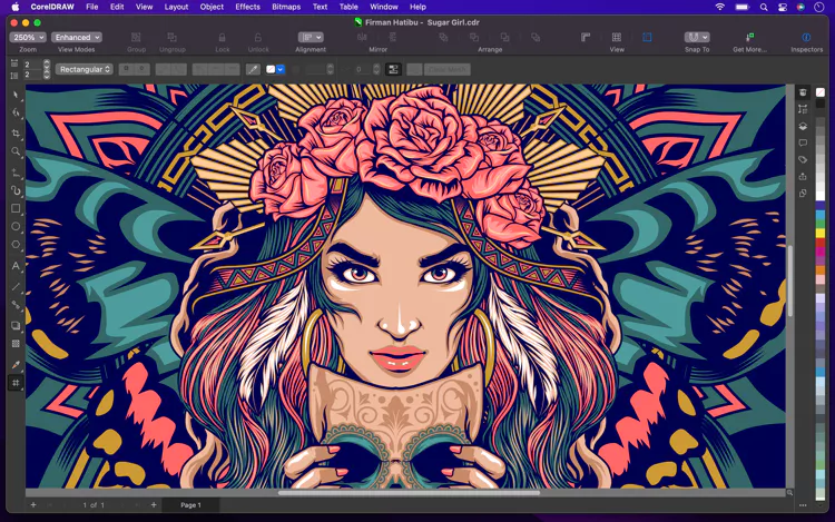 CorelDRAW Graphics Suite X7 